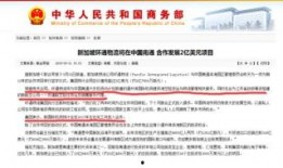 最近大事件爆料新闻内容,真相与幕后黑手浮出水面